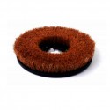 อุปกรณ์ เครื่องขัดพื้น / Equipment Scrubber
