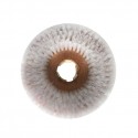 อุปกรณ์ เครื่องขัดพื้น / Equipment Scrubber