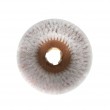 อุปกรณ์ เครื่องขัดพื้น / Equipment Scrubber