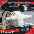 ปั้มเคมี / Chemical Pump 220V
