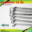 Ring Spanners 12 Pcs. 