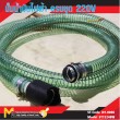 ปั้มน้ำมันไฟฟ้า / Electric Pump 220V