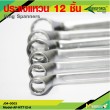 Ring Spanners 12 Pcs. 