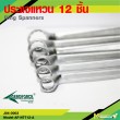 Ring Spanners 12 Pcs. 