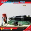 ปั้มน้ำมันไฟฟ้า / Electric Pump 220V