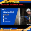 สว่านโรตารี่ PUMA PM-26DFR 26 MM. 800W. รับประกัน 6 เดือน