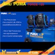 ปั๊มลม ปั๊มลมแบบเสียงเงียบ ปั๊มลมไร้น้ำมัน PUMA FORCE-120 1450W 