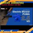 ปืนเป่าลมเย็น PUMA PM-256B 600W. รับประกัน 6 เดือน