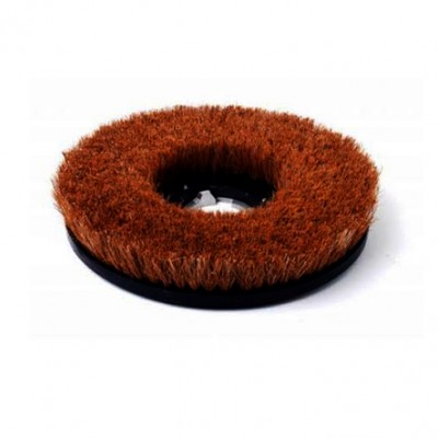 อุปกรณ์ เครื่องขัดพื้น / Equipment Scrubber
